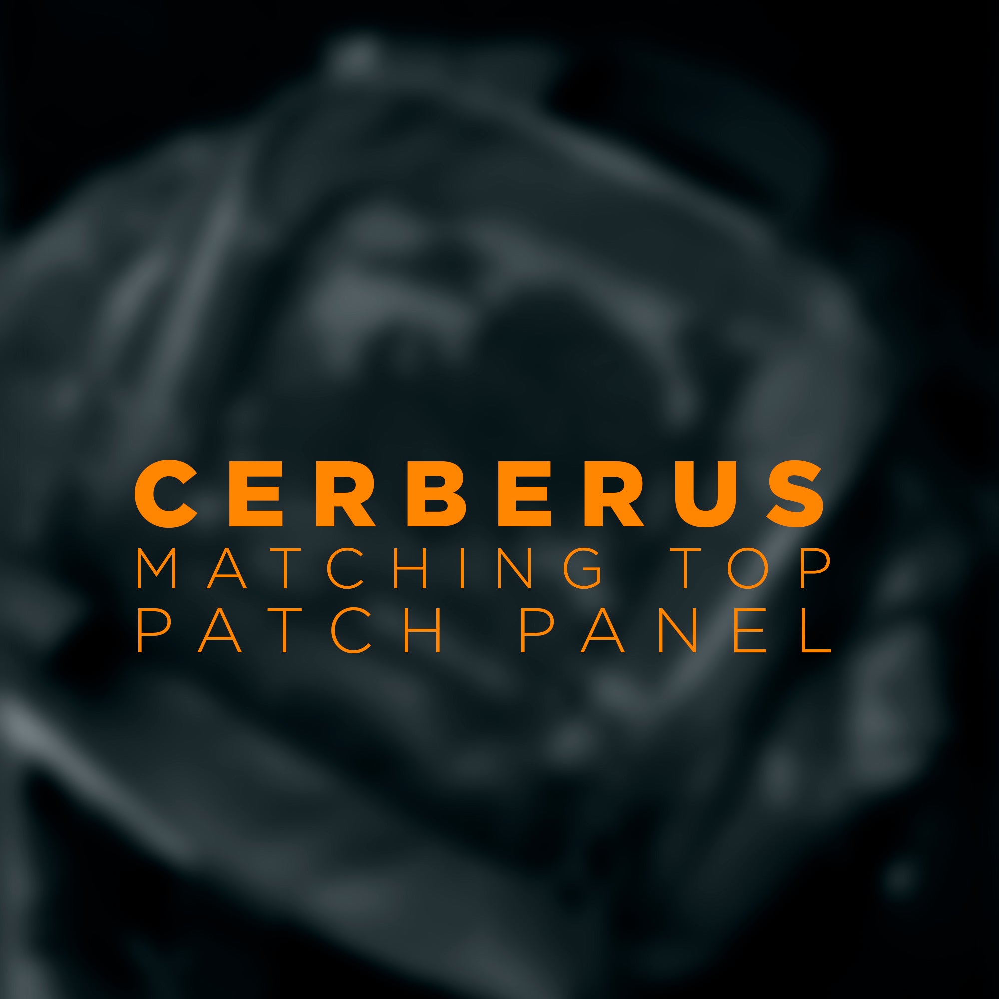 Carryology / Mystery Ranch CERBERUS MATCHING TOP PATCH panels