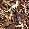 Classic Wooden Jigsaw PUZZLE "Elk Bugle" Photography by Phil Swanson