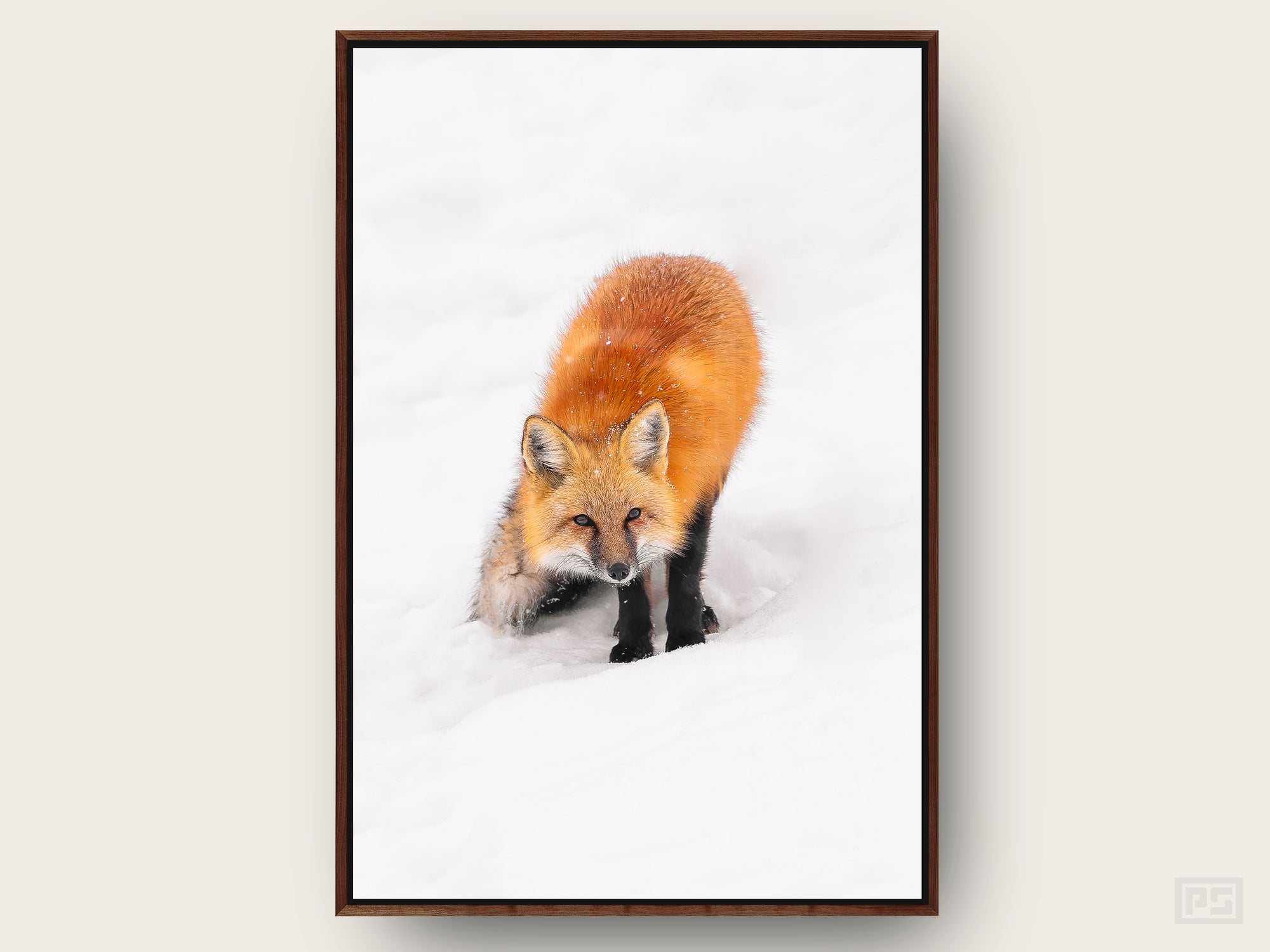 Framed Canvas Print "The Fox"