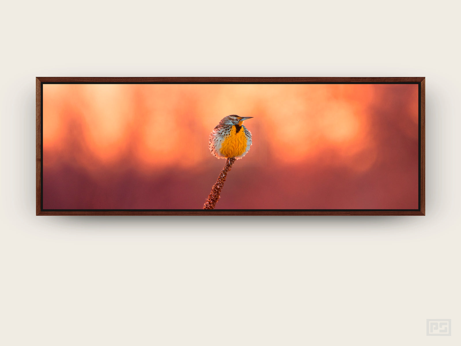 Framed Canvas Print "The Meadowlark"