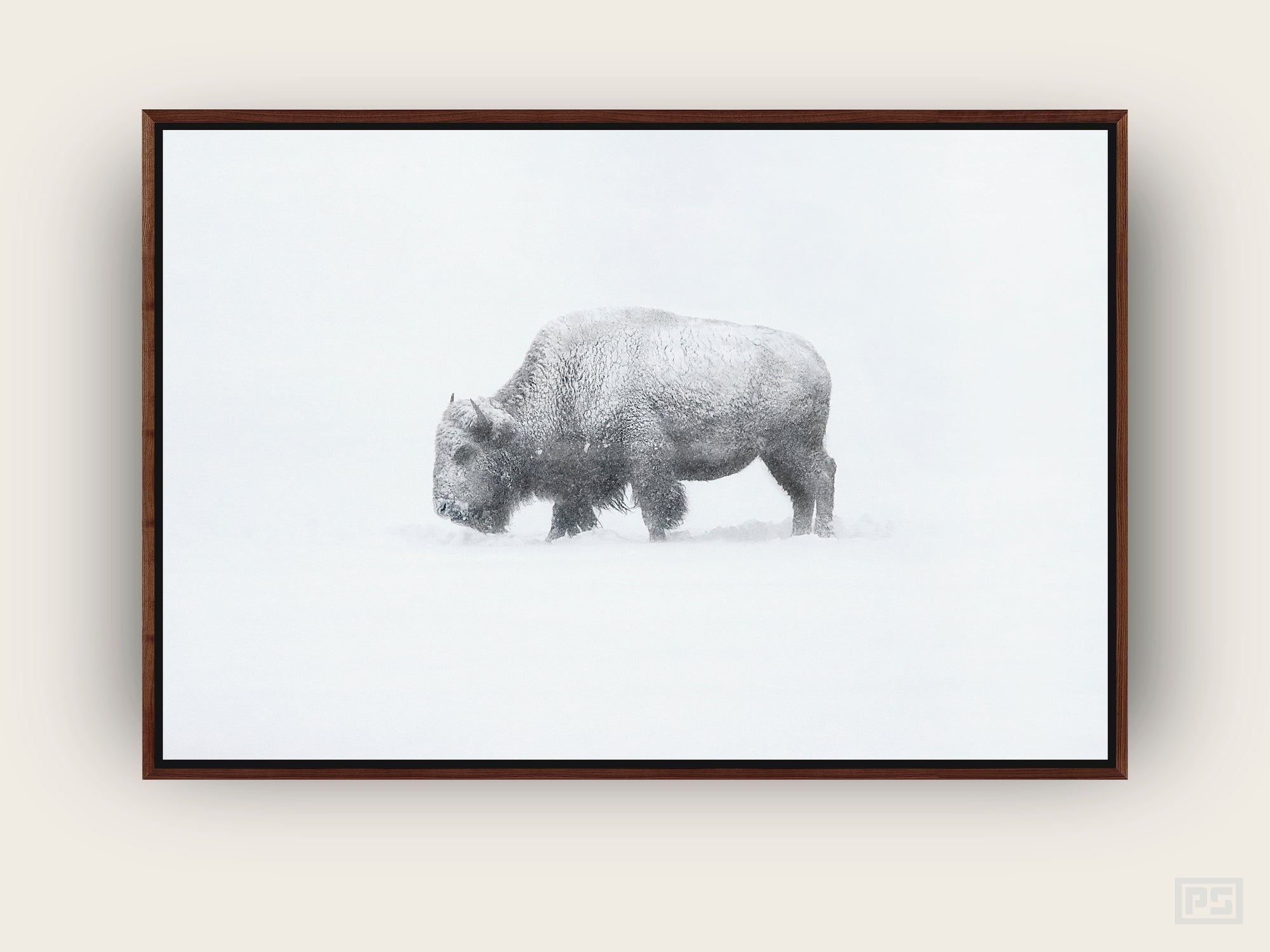 Framed Canvas Print "The American Bison"