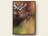 Framed Canvas Print "The Elk Bugle"